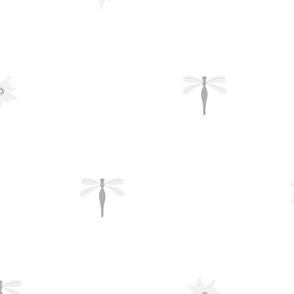 waterlily dragonfly - white