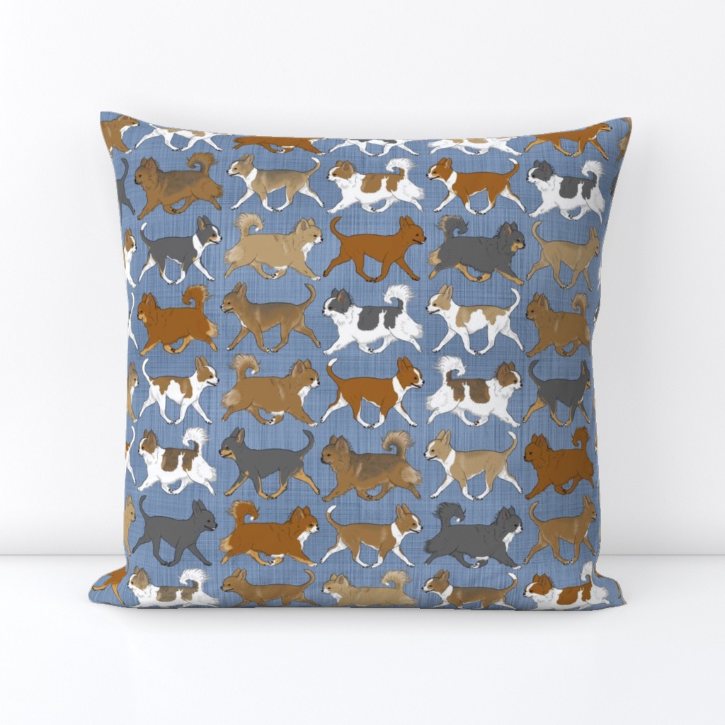 Trotting faux denim Chihuahua border