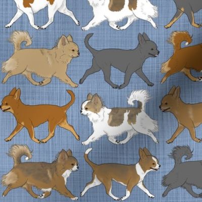 Trotting faux denim Chihuahua border