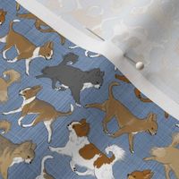 Tiny Trotting faux denim Chihuahua border - vertical