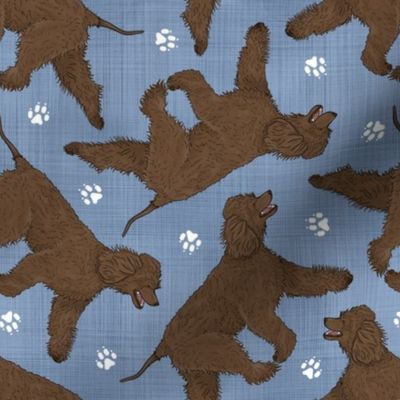 Trotting Irish Water Spaniels and paw prints - faux denim