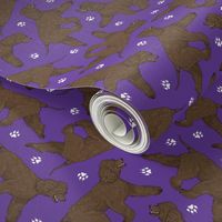 Trotting Irish Water Spaniels and paw prints - purple