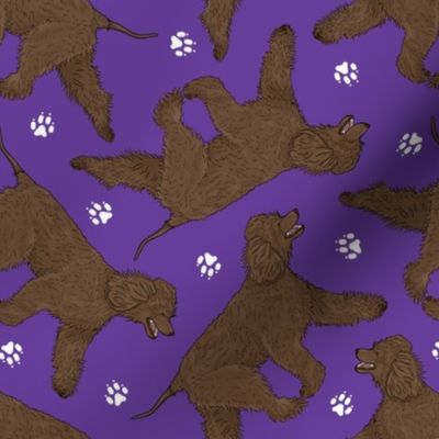 Trotting Irish Water Spaniels and paw prints - purple