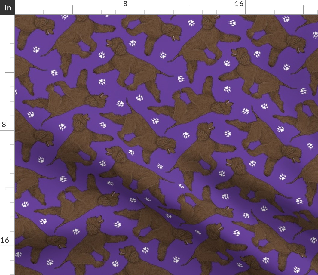 Trotting Irish Water Spaniels and paw prints - purple