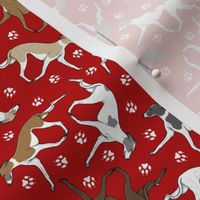 Tiny Trotting Italian Greyhounds and paw prints - red