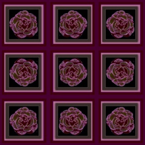 mauve rose palette