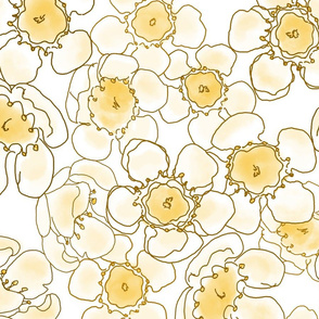 Soft Yellow Waxflowers  Medium