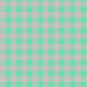 Gingham Pattern - Green/Pink