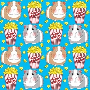 medium guinea pigs with popcorn on blue