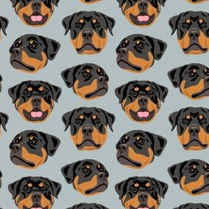Rottweiler Faces - Gray