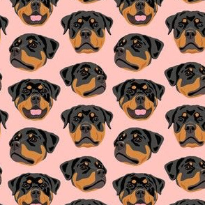 Rottweiler Faces - Pink