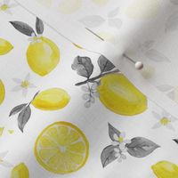 Lemons in Watercolor - Yellow and Gray - Micro
