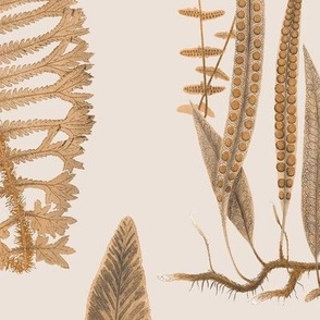 Fern Forest Sepia Peach // large
