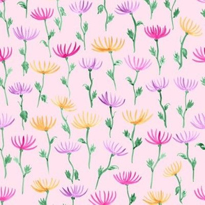 Watercolor Chrysanthemum flowers on pink