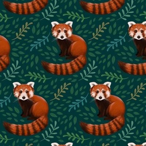 Red Panda Forest