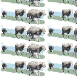 Beardie herding Sheep 4 inches