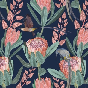 Protea and sugarbird - medium
