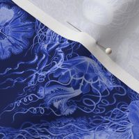 Jellyfish Swarm ~ Royal Blue and White ~ Small Rotated