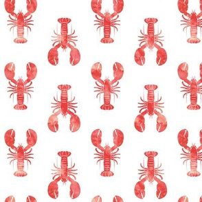 (med scale) red lobster - nautical themed fabric C21