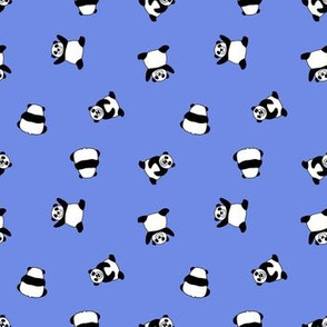 pandas5000-12345