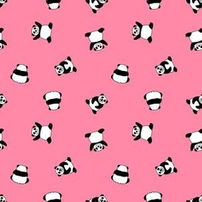 pandas5000-123456