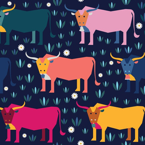Colorful oxen