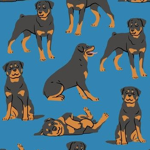 Rottweilers - Large - Dark Blue