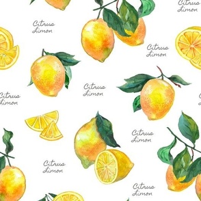 Aromatherapy Lemons