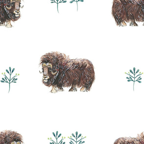 Watercolour Musk Ox and Simple Plants - Larger