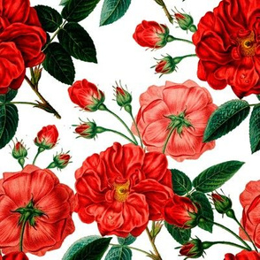  Roses with leaves