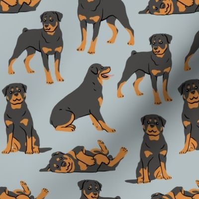 Rottweilers - Large - Gray