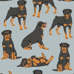 Rottweilers - Large - Gray