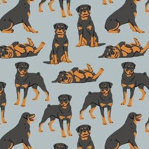 Rottweilers - Small - Gray