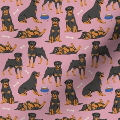 Rottweilers & bones - Small - Pink