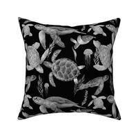 Sea Turtles Black and Gray