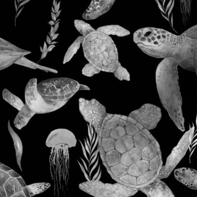 Sea Turtles Black and Gray