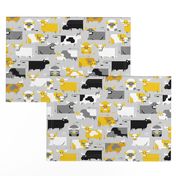 yellow gray oxen