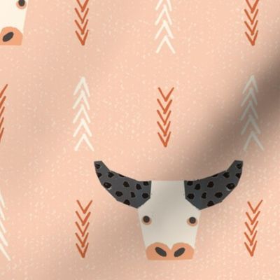 bull cow Herd Peach pink coral Medium