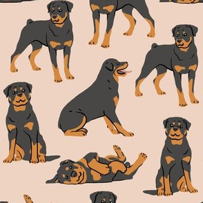 Rottweilers - Large - Tan