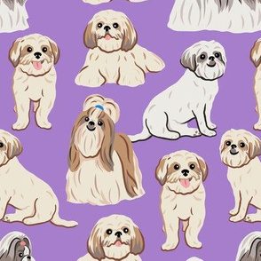 Shih Tzu Dogs - Large - Purple