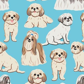 Shih Tzu Dogs - Large - Light Blue