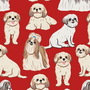 Shih Tzu Dogs - Large - Red