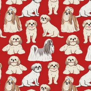 Shih Tzu Dogs - Small - Red