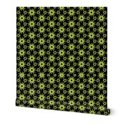 137G_Lime Green on Black Starburst_24x18