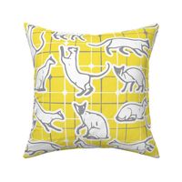Siam cats, yellow and grey, XXL, 21"