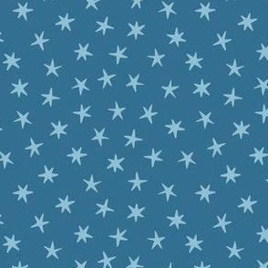 Blue stars. Night sky. Small scale