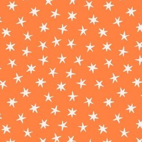 Stars on the orange background. Small scale