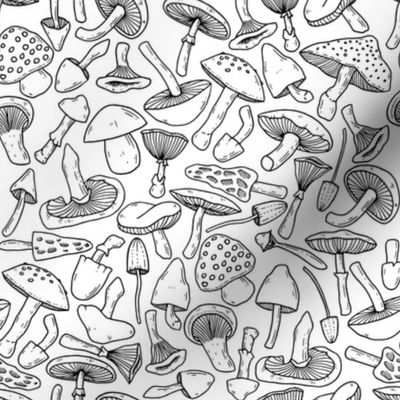 Hand-Drawn Mushroom Pattern