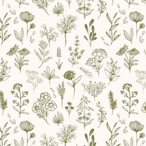 Botanical Nature Flowers // Olive