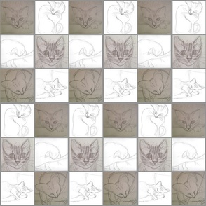 checkerboard cats